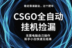【穩定副業】全球最熱門游戲CSGO全自動撿漏,最新玩法,新手小白日入5張+